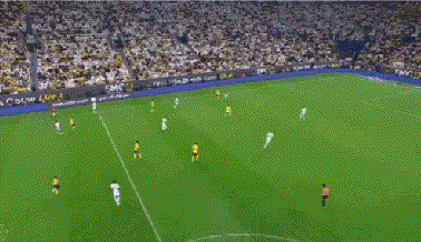 shL, 无敌落叶球